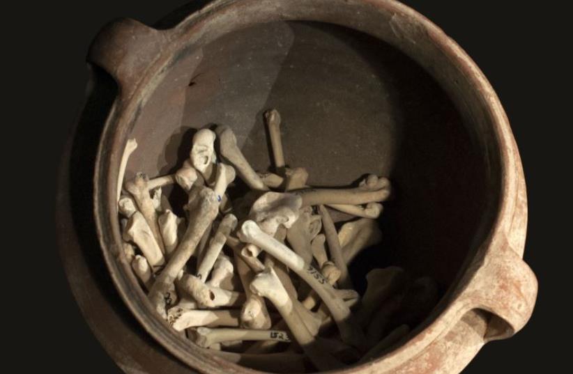 Cooking pot with chicken wings bones. (photo credit: FACULTY OF ARCHEOLOGY, HAIFA UNIVERSITY)