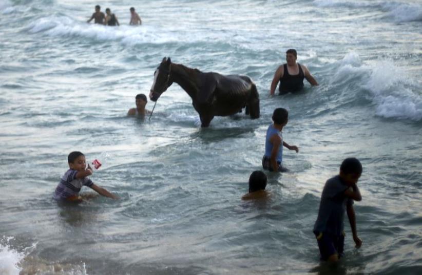Palestinians wash a horse  in the sea off the coast of northern Gaza Strip July 24, 2015.   (photo credit: REUTERS)