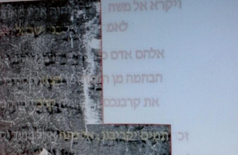 The first eight lines of Leviticus virtually unrolled from a burnt Torah scroll, placed alongside the same text for comparison’s sake. (photo credit: ASAF SHILO)