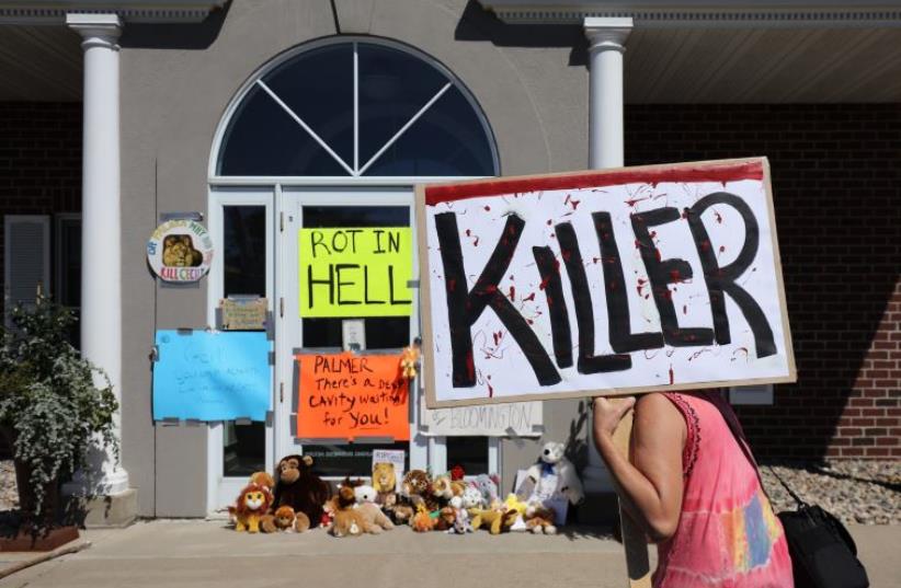 Protesters call attention to the alleged poaching of Cecil the lion, in the parking lot of Dr. Walter Palmer's River Bluff Dental Clinic on July 29, 2015 in Bloomington, Minnesota. (photo credit: ADAM BETTCHER / GETTY IMAGES NORTH AMERICA / AFP)