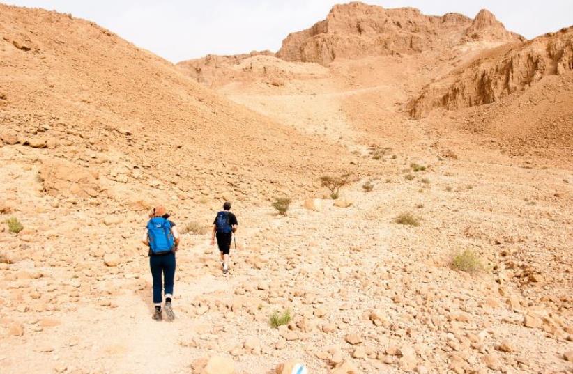 Hikers in the desert (photo credit: INGIMAGE)