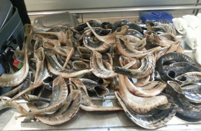 Shofars and Etrogs seized by Israel Customs Authority (photo credit: BEN GURION AIRPORT CUSTOMS)