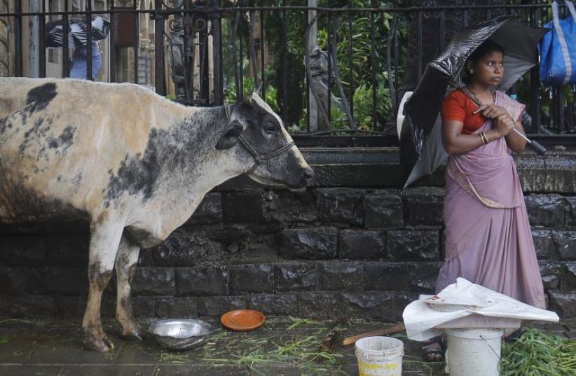 A streetside vendor stands on the pavement next to her cow as it rains in Mumbai (photo credit: REUTERS)