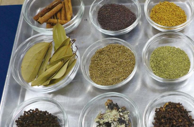 Indian cooking spices (photo credit: YAKIR LEVY)