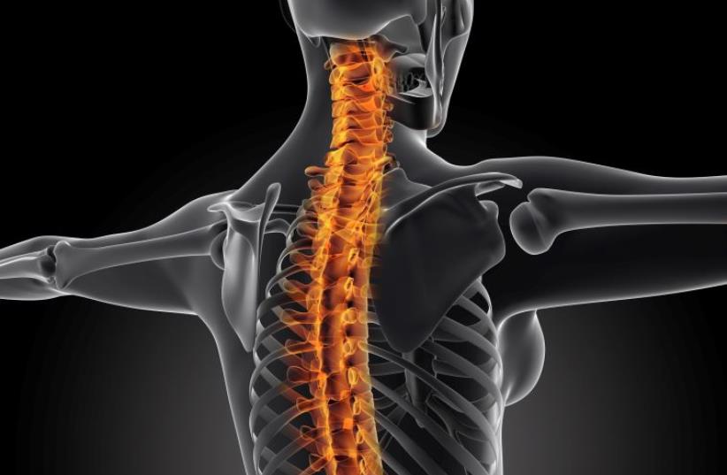 Close up back with spine (photo credit: INGIMAGE)