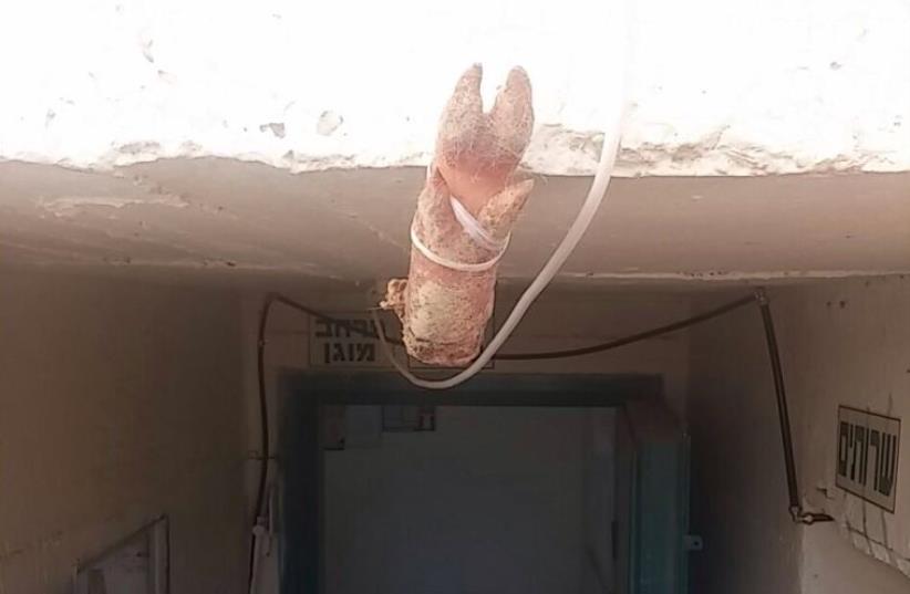 A pig's foot hung outside a synagogue in Arad (photo credit: Courtesy)