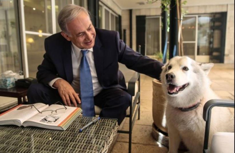 Prime Minister Benjamin Netanyahu with his dog, Kaiya. (photo credit: FACEBOOK)