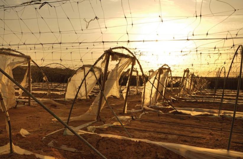 Alex Libek’s emotive work showing sand-stained remnants of plastic-encased greenhouses in a failed agricultural enterprise in the Arava. (photo credit: ALEX LIBEK)