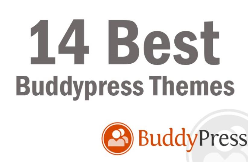Buddypress Themes  (photo credit: PR)