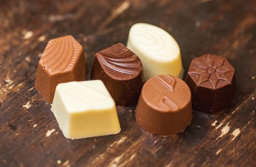 Samples of Panda Chocolate, which offers eight different flavors (photo credit: ORI BAREKET)