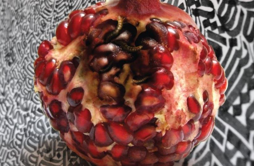 Mehdi Saeedi subtly infuses a succulent pomegranate with biting socio-political comment (photo credit: Courtesy)
