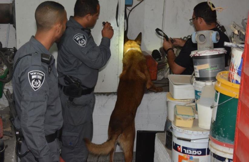 Israel police during a drug raid operation‏ (photo credit: ISRAEL POLICE)