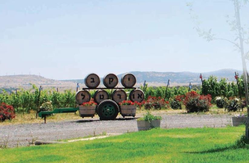 Ortal winery (photo credit: MEITAL SHARABI)
