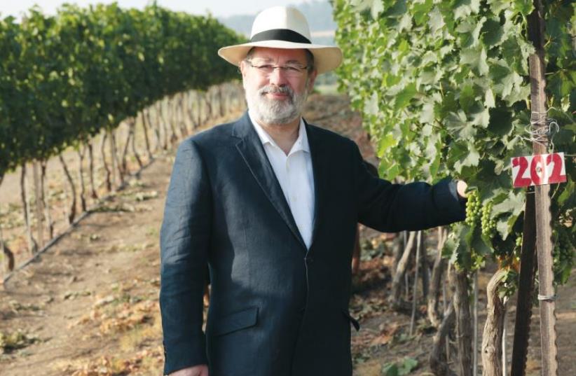 Pierre Miodownik is credited with creating the first quality kosher wine in France in 1986 (photo credit: Courtesy)