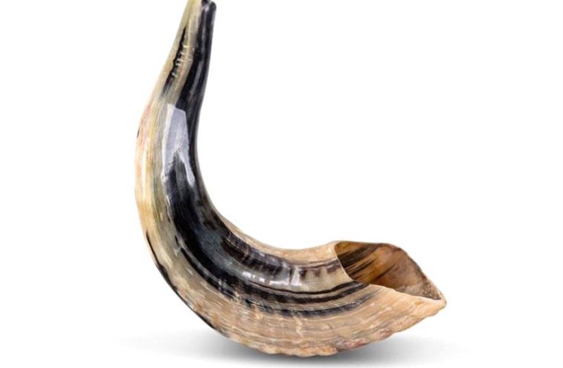 The Essential New Year Guide to the Shofar (photo credit: JWG)