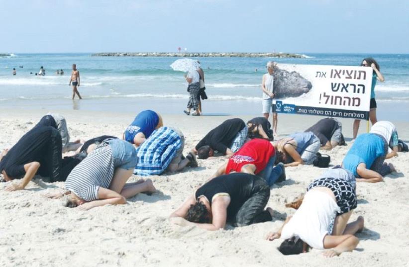 ‘STOP BURYING your heads in the sand!’ the sign reads at Friday’s protest on the Tel Aviv shore. (photo credit: ANONYMOUS FOR ANIMAL RIGHTS)