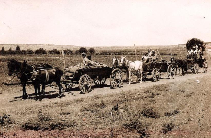 The first settlers arrive to Nahalal by horse and wagon from Mikveh Israel (photo credit: Wikimedia Commons)