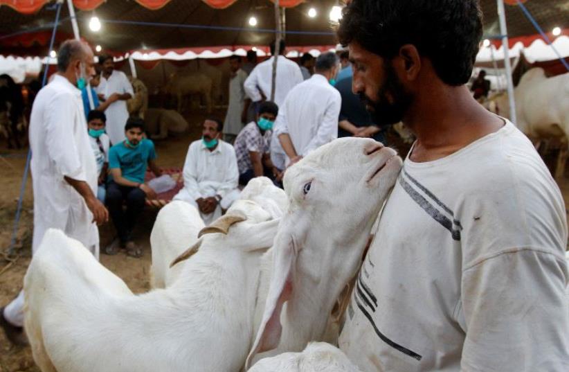 A handler holds his goats as potential customers look after goats to sacrifice ahead of the Eid al-Adha festival at the animal market outside Islamabad, Pakistan September 9, 2016. (photo credit: REUTERS/CAREN FIROUZ)