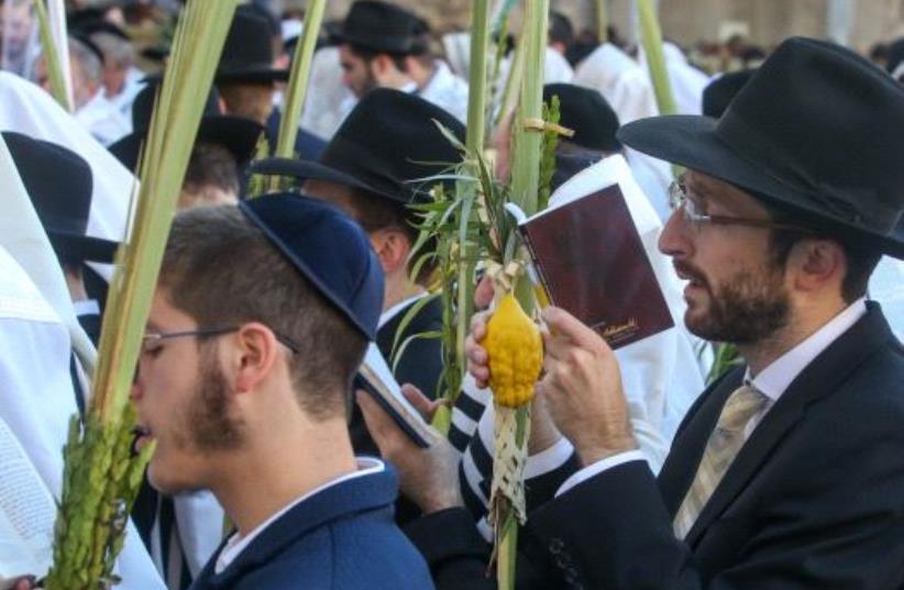 Hoshana Raba, the seventh day of Succot, at the Western Wall in Jerusalem  (photo credit: MARC ISRAEL SELLEM/THE JERUSALEM POST)
