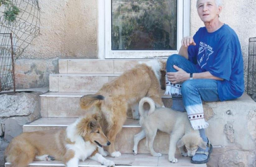 MYRNA SHIBOLETH sits with her dogs at the kennels in Sha’ar Hagai. (photo credit: MICHAL ALON)