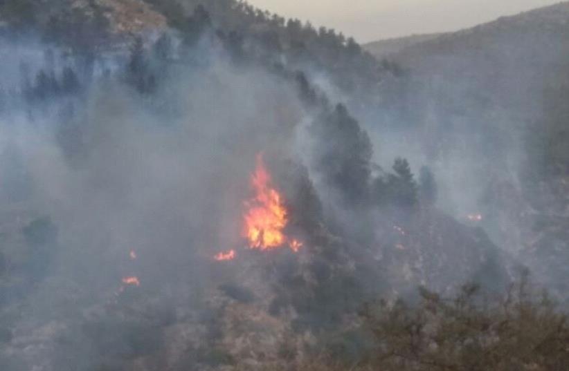Forest fire in Dolev (photo credit: JUDEA AND SAMARIA FIRE DEPARMENT)