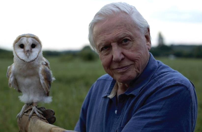 Sir David Attenborough’s new TV series Conquest of the Skies (photo credit: COLOSSUS PRODUCTIONS)