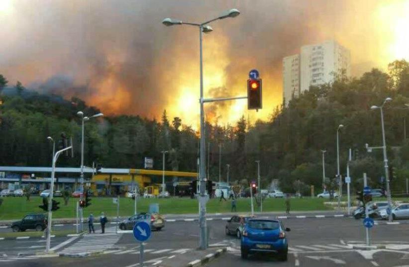 Fires in Haifa, November 24, 2016 (photo credit: AVSHALOM SASSONI)