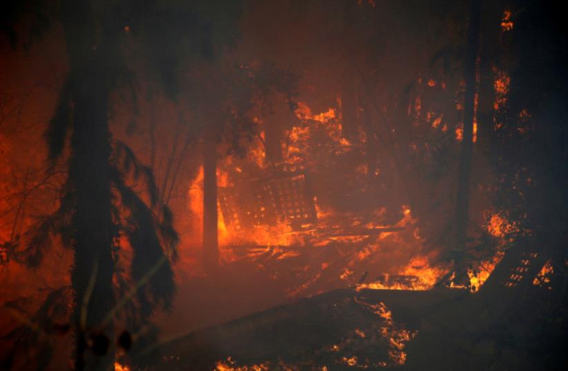 Fires wreck havoc across Israel (photo credit: REUTERS)