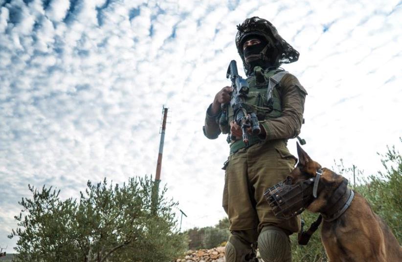 An IDF soldier with canine. (photo credit: IDF SPOKESMAN'S OFFICE)