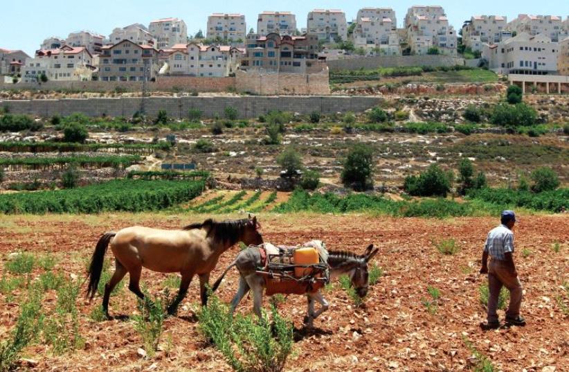 Man, horse and donkey walking outside of Efrat (photo credit: REUTERS)