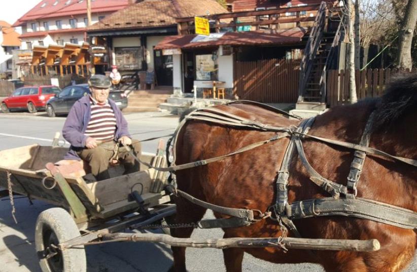 A horse-drawn cart in Bran, Romania  (photo credit: BEN FISHER)