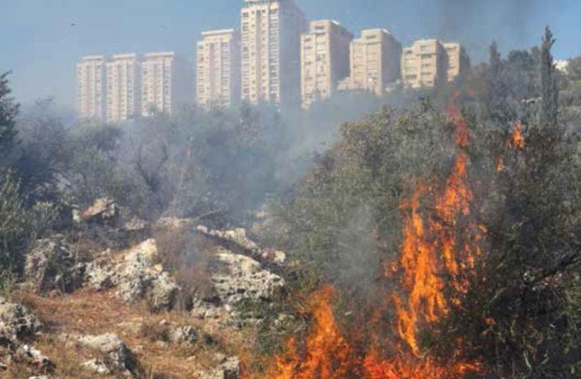 Fire in Jerusalem (photo credit: MARC ISRAEL SELLEM)