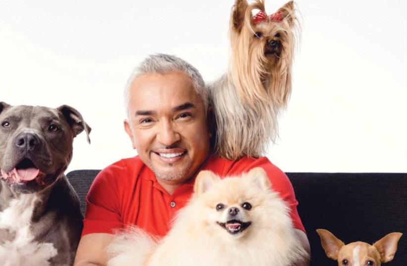 PUP CULTURE: Famed TV show host and ‘dog whisperer’ Cesar Millan (photo credit: PR)