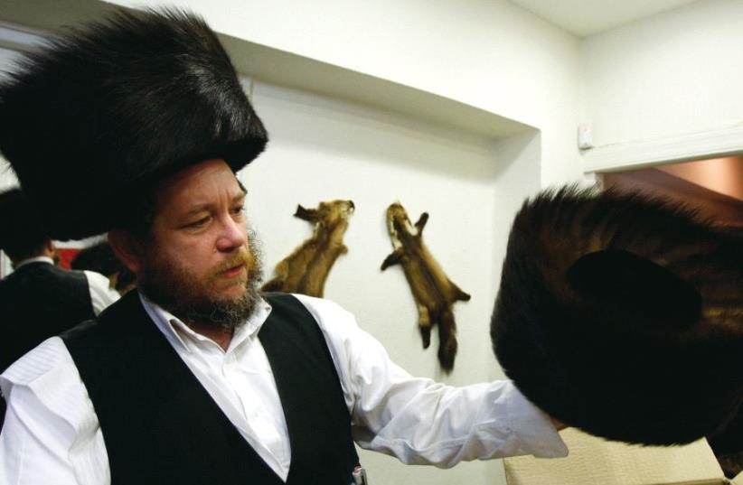 Illustrative photo of a man wearing and holding a shtreimel, a fur hat (photo credit: BAZ RATNER/REUTERS)