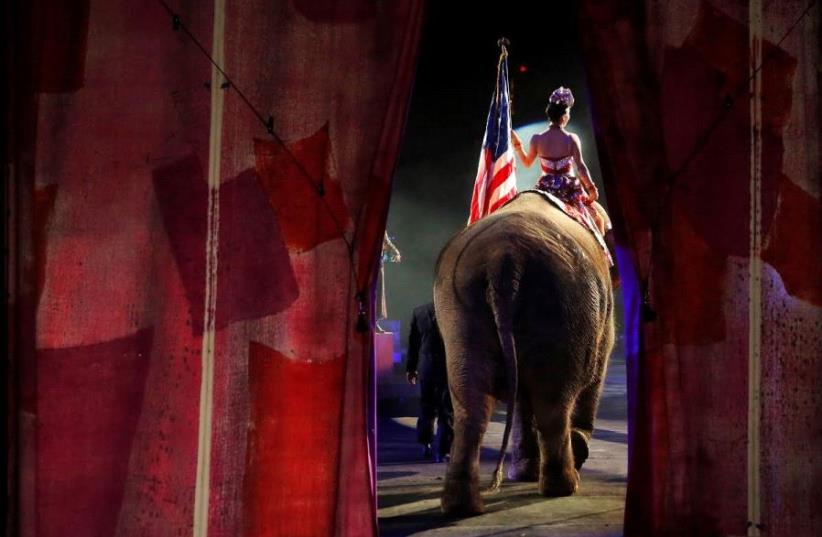 One of Ringling Bros. and Barnum & Bailey Circus’s elephants enters the arena for its final show in Wilkes-Barre, Pennsylvania, on May 1, 2016. (photo credit: REUTERS)