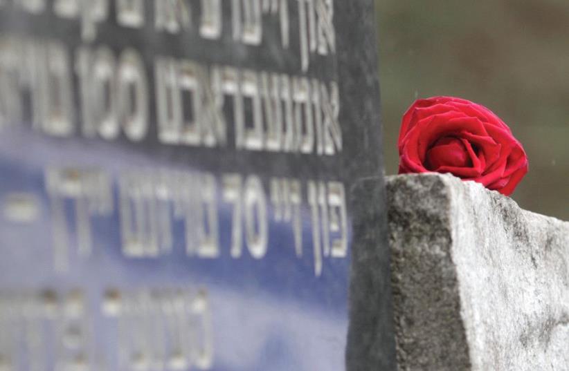 A RED ROSE is pictured during the March of the Living to honor Holocaust victims in Paneriai, near Vilnius, Lithuania, in 2012. (photo credit: REUTERS)