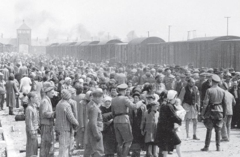 Selection taking place upon arrival at the Auschwitz-Birkenau death camp (photo credit: YAD VASHEM)