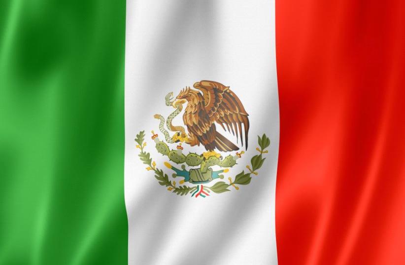 Mexico flag (photo credit: INGIMAGE)