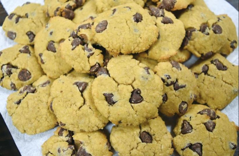 Gluten-free coco-chocolate chip cookies (photo credit: YAKIR LEVY)