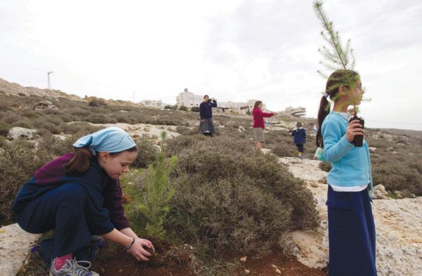 A GIRL plants a seedling outside the West Bank settlement of Kiryat Arba ahead of Tu Bishvat (photo credit: REUTERS)
