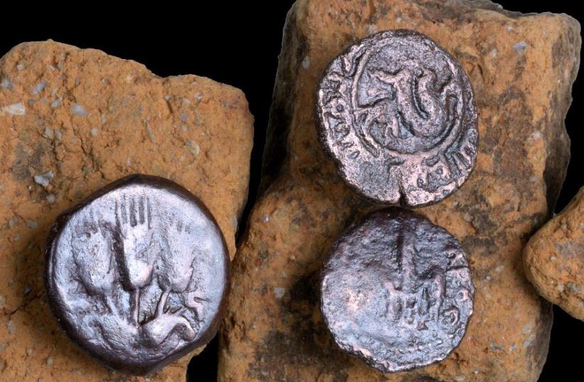 The ancient coins discovered during the excavation (photo credit: CLARA AMIT/IAA)