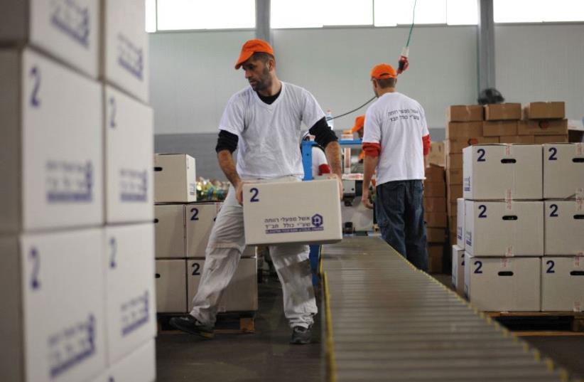 Volunteers put together food packages ahead of the Passover holiday at the Colel Chabad main packaging facility in Kiryat Malachi (photo credit: ISRAEL BARDUGO)