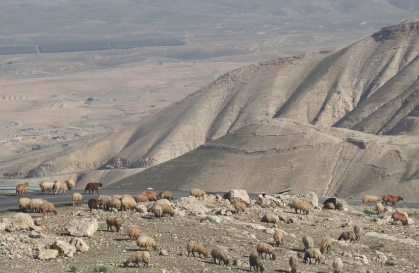 A view of the Jordan valley (photo credit: REUTERS)