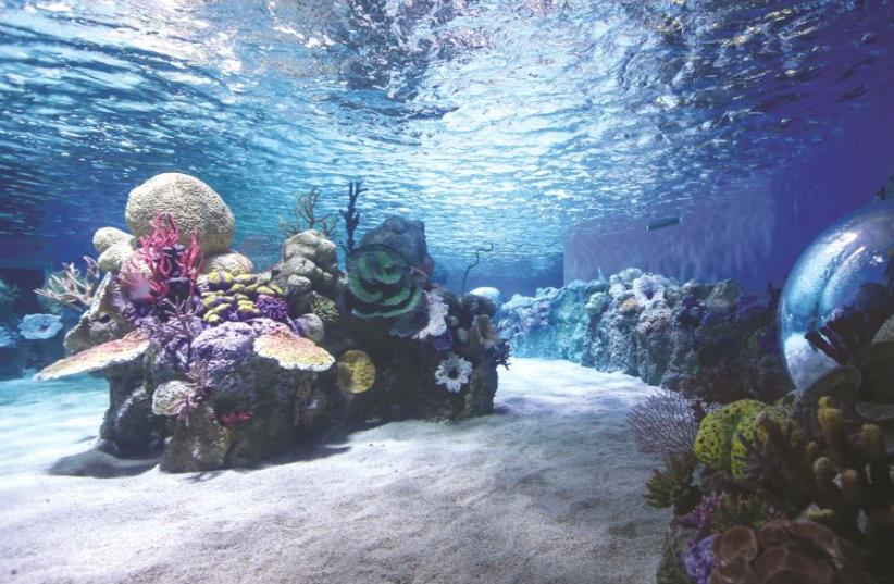 Un des futurs bassins de l'aquarium de Jérusalem (photo credit: MARC ISRAEL SELLEM/THE JERUSALEM POST)