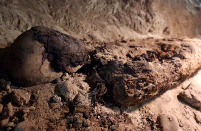 A mummy is seen inside the newly discovered burial site in Minya, Egypt May 13, 2017 (photo credit: REUTERS/MOHAMED ABD EL GHANY)