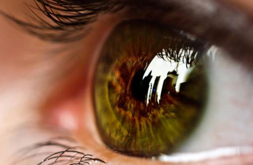Eyesight (illustrative) (photo credit: REUTERS)