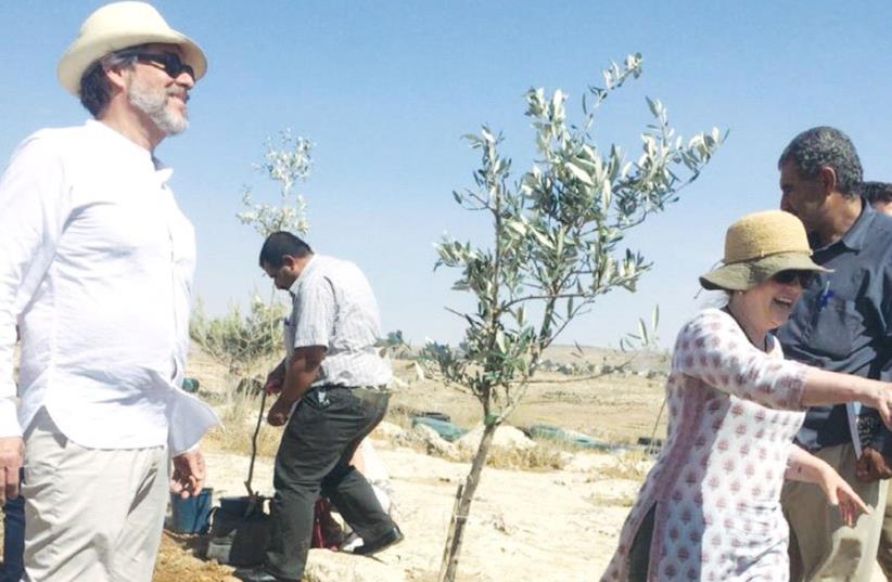 Husband and wife American novelist and short story writer Michael Chabon (left) and Israeli-American novelist and essayist Ayelet Waldman plant a pomegranate tree in Sussiya, in the southern Judaean Mountains, on Wednesday. (photo credit: SOPHIE SCHOR)