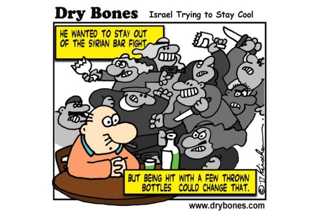 Dry Bones Cartoon - June 25, 2017 - The Jerusalem Post