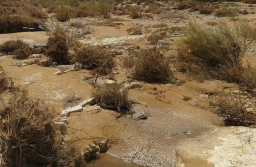 SOME OF the acidic sewage in Nahal Ashalim is seen over the weekend. (photo credit: GEORGE NORKIN/INPA)