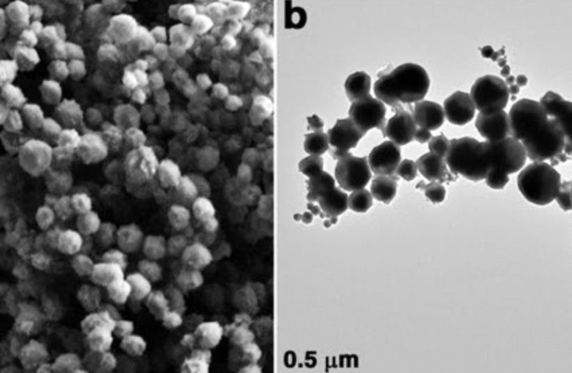 SEM images at different magnification of core–shell Pb@GaS nanoparticles produced by solar ablation. (photo credit: BEN GURION UNIVERSITY OF THE NEGEV)